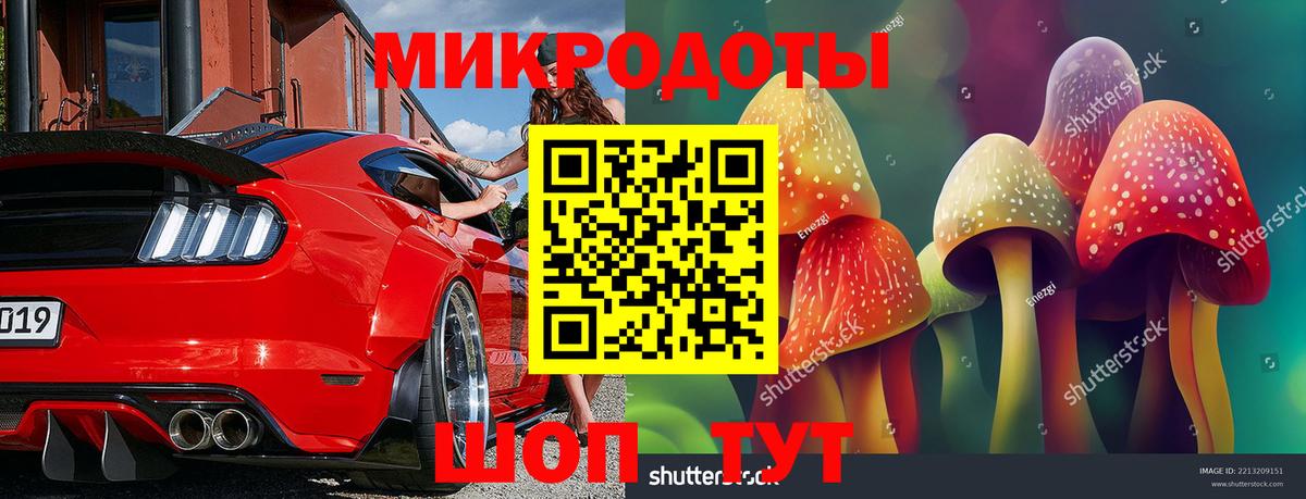 Галлюциногенные грибы GOLDEN TEACHER Домодедово